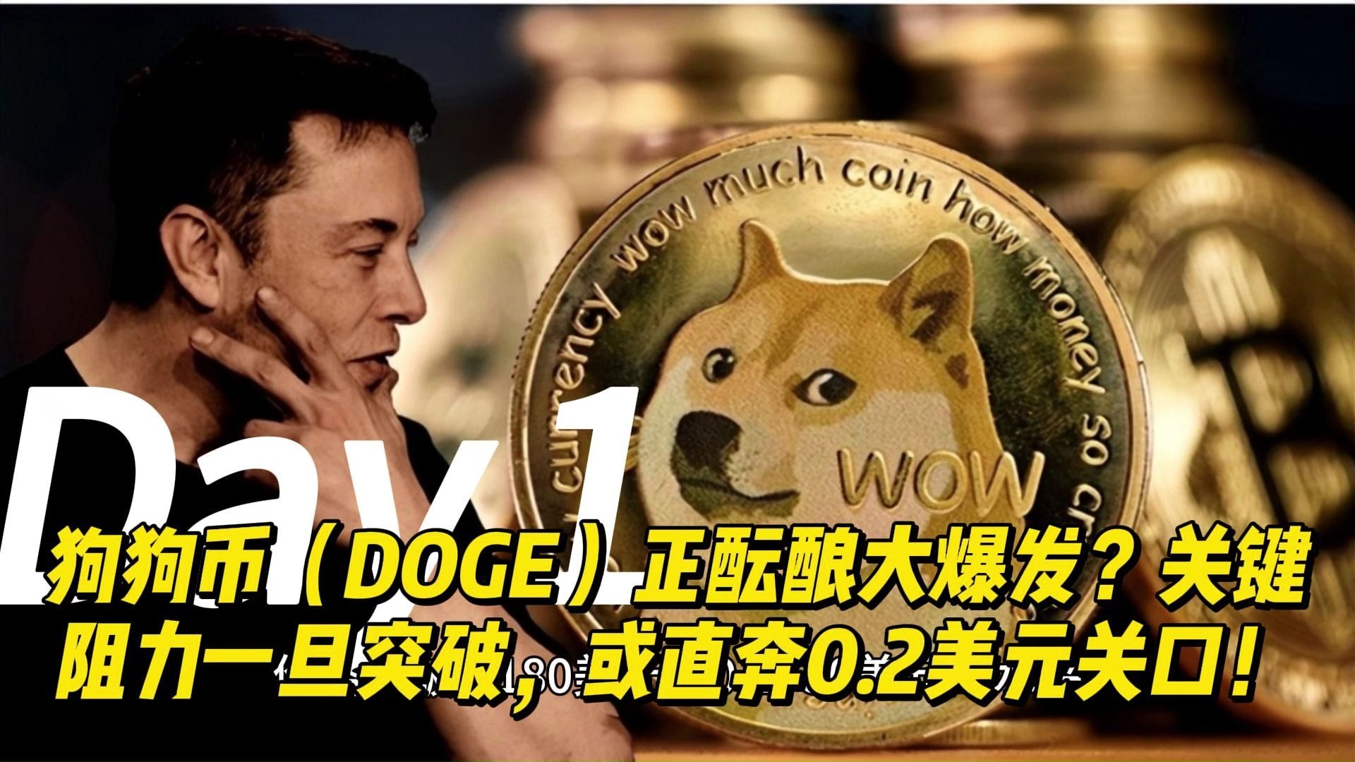 关于专家称狗狗币将在年底冲破2.95美元，引发引发关注的信息